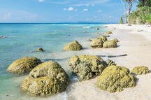Essential Andaman in 6 Nights Essential Andaman in 6 Nights